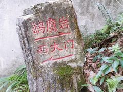 -大金鹰园
