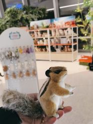 -IMON·HANSA潮玩玩偶毛绒玩具(通州万象汇店)