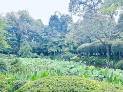 -成都杜甫草堂博物馆