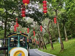 -云溪植物园