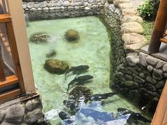 -耕渔小院·湖南鱼鲜(望城店)