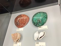 -天津古林古海岸遗迹博物馆