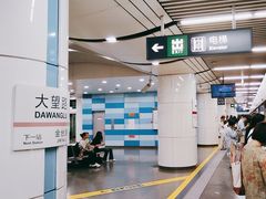 -大望路(地铁站)