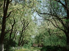 -永定河休闲森林公园