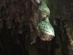 景点-怀托摩萤火虫洞