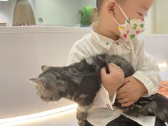 -COLOR PETS 撸猫馆·购猫·猫咖(长风大悦城店)