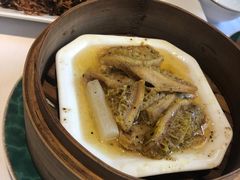 -老洋房花园饭店(绍兴路店)