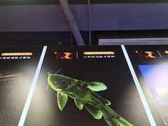 -蛙一刀·麻椒鱼火锅(金仙桥店)