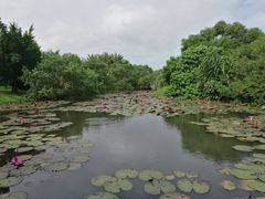 -白沙门生态公园
