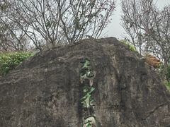 -深圳仙湖植物园
