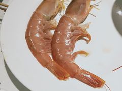 -五月罗马海鲜自助餐厅(陆家嘴店)