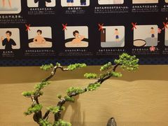 -蓝鲸湾汤泉(包河店)