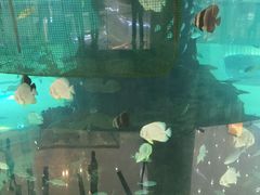 -鸿通城购物中心