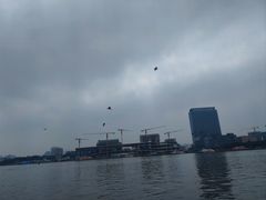 -白天鹅宾馆·流浮阁咖啡厅