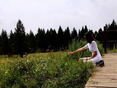 -塞罕坝国家级自然保护区