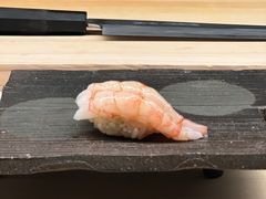 -焘