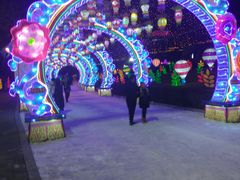 -沈阳奥体冰雪嘉年华