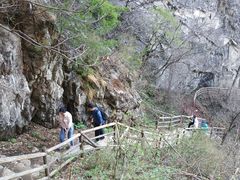 -王顺山国家森林公园