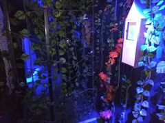 -明日世界密室轰趴·剧本桌游·箭馆团建(国贸店)