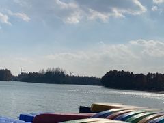 -上海海湾国家森林公园