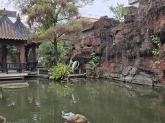 -碧江金楼