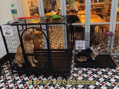 -阿那亚第一食堂 Cafeteria 1