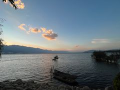 -野菌皇海景野生菌火锅(滨海大道店)