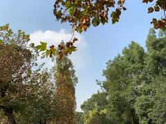 -四川大学(望江校区)