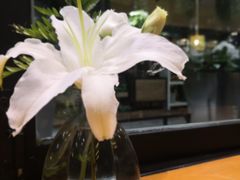 -雕刻时光咖啡馆(北苑店)