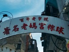 -老妈宫粽球