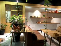 -柴务处·柴犬主题狗咖