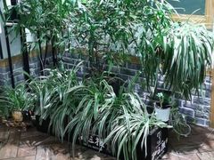 -孙三拨按摩(大纺店)