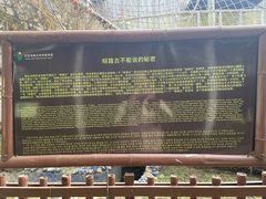 -呀路古热带植物园