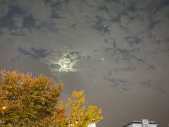 -稻香酒家(步步高梅溪新天地店)