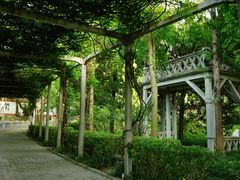 -叶家花园