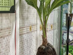 -玉椰林甜品店(创始店)