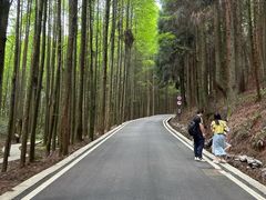 -山王坪喀斯特国家生态公园