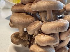 活体香菇-煲王粤菜餐厅(中侨中心店)