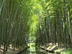 -同里国家湿地公园