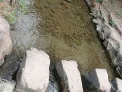 -黄河小浪底水利枢纽风景区