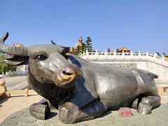 -广东圆玄道观