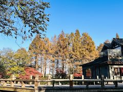 -知味观·味庄(杨公堤店)