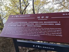 -少华山国家森林公园