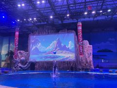 -华夏文旅海洋公园