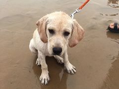 -东戴河风景区-止锚湾