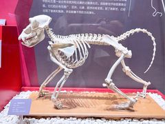 -国家自然博物馆