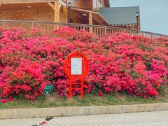 -露天矿生态公园