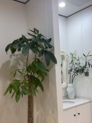 -郑荃丽格医疗美容