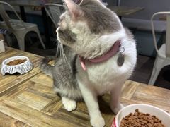 -小时光咖啡馆(开森度假森林店)