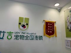 -艾吉宠物医院·疑难杂症转诊中心·猫友好(碧江路院)